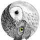 ������ ������������ owl0907