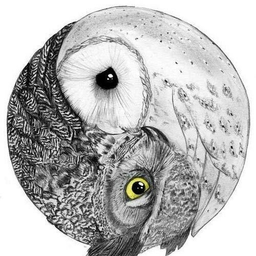 owl0907
