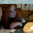 foxyfoxy2008