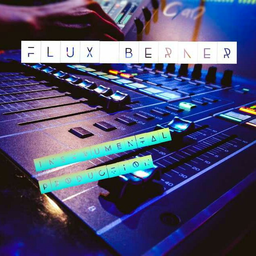 FluxBerner