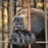 sadbear