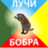 VsemDobraIbobra