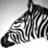 SleepyZebra