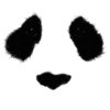 DanikPanda