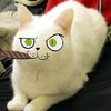 Pikabu profile picture for @sorrel