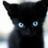 tashita