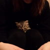 Pikabu profile picture for @strangeness