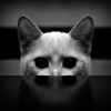 Pikabu profile picture for @Resist