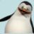 penguin1101