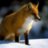 FoxDreamer
