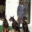 Doberman335