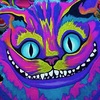 ������ ������������ SmilingCat