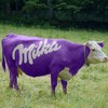 milka34