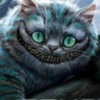 ������ ������������ k0zmo