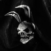 Аватар пользователя Hellriker