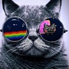   FatNyanCat