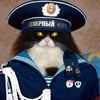 Аватар пользователя AdmiralHulinada