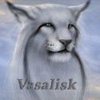������ ������������ vasalisk