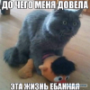 Аватар пользователя KKharNN1991