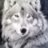 BigWhiteWolf