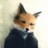 MrNiceGuyFox