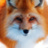 FluffyFox