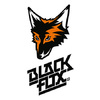 Black fox. Black Fox картинки. Black Fox команда. Black Fox обложка.