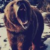 Аватар пользователя Fireflyy