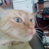 Аватар пользователя Ponyan
