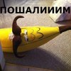 ������ ������������ Awamiru