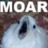 MoarBird