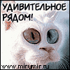 ������ ������������ qSecretp