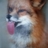 trixterfox7