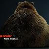 Аватар пользователя bear34