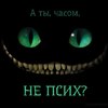 Аватар пользователя LarraKrofft