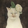 Pikabu profile picture for @Evana