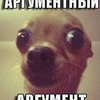 ������ ������������ MrMakintosh