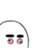 Danegg