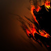 ������ ������������ Arterius