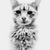 Pikabu profile picture for @livid