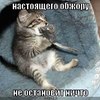������ ������������ SenyaGandjubas