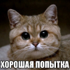 ������ ������������ amaksime12