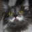 Evi1Cat