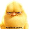 ������ ������������ AdaVrajina