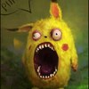 ������ ������������ pockemon