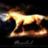 Rapidash