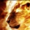 ������ ������������ Fire5Lion