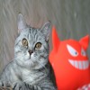 fistashka7