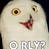 SaintOwl