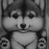 Аватар пользователя Wolfiko